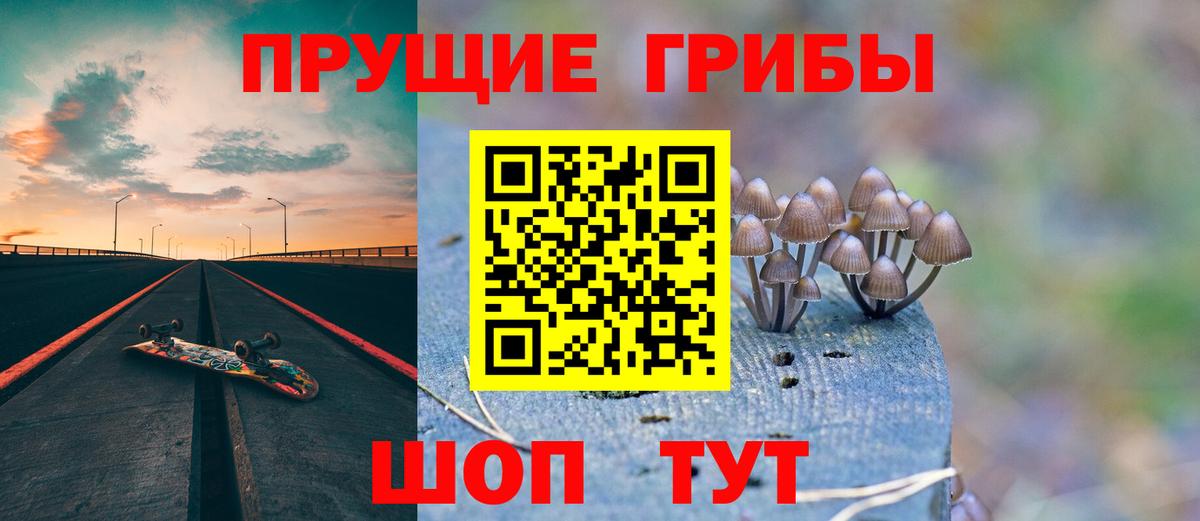 Псилоцибиновые грибы мухоморы Великие Луки